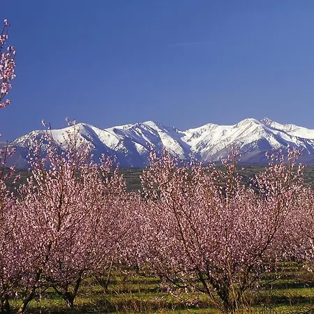 Hotel Campanile Sud 3*